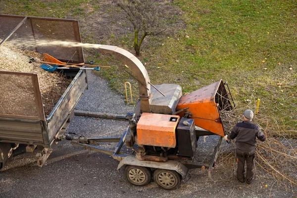 Fast and Efficient Tree Removal Service for Every Property